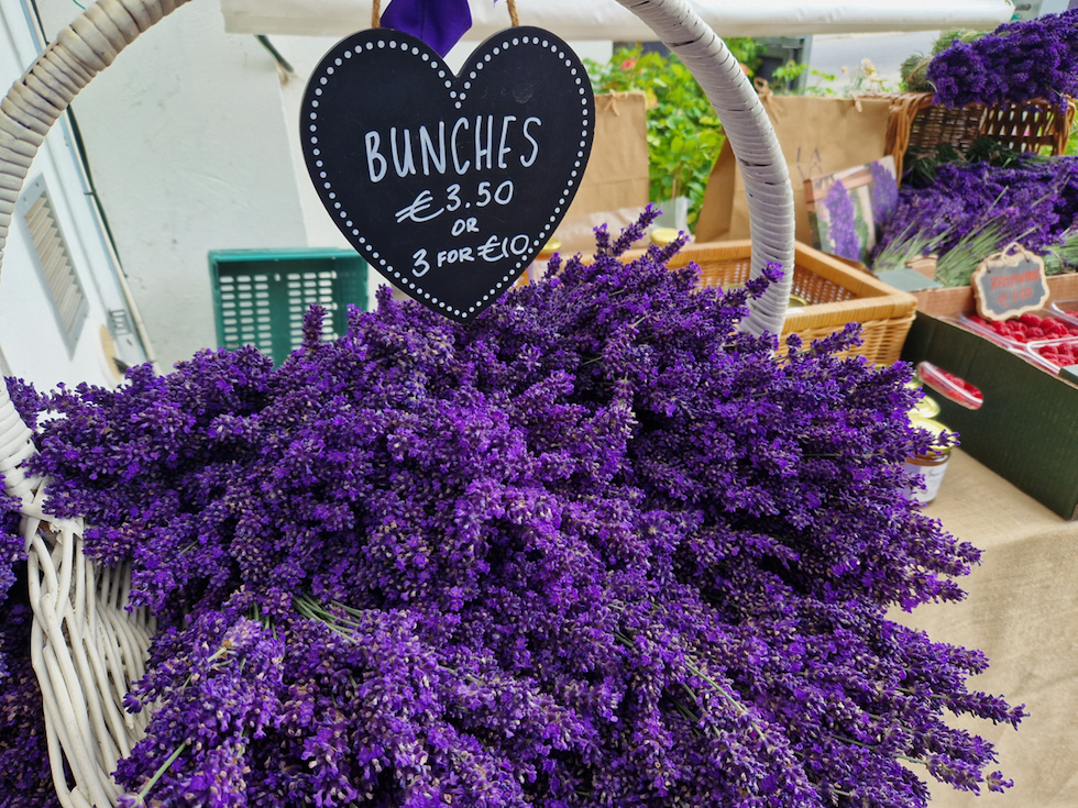 Lavender at Fragrances of Ireland Harvest Festival